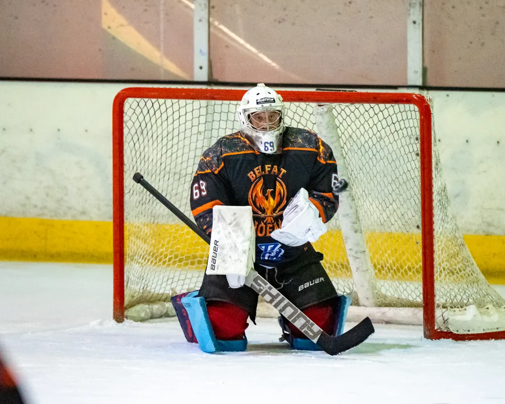 Phoenix goaltender positioned in the net